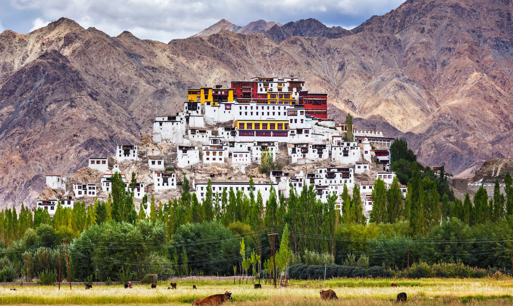ladakh